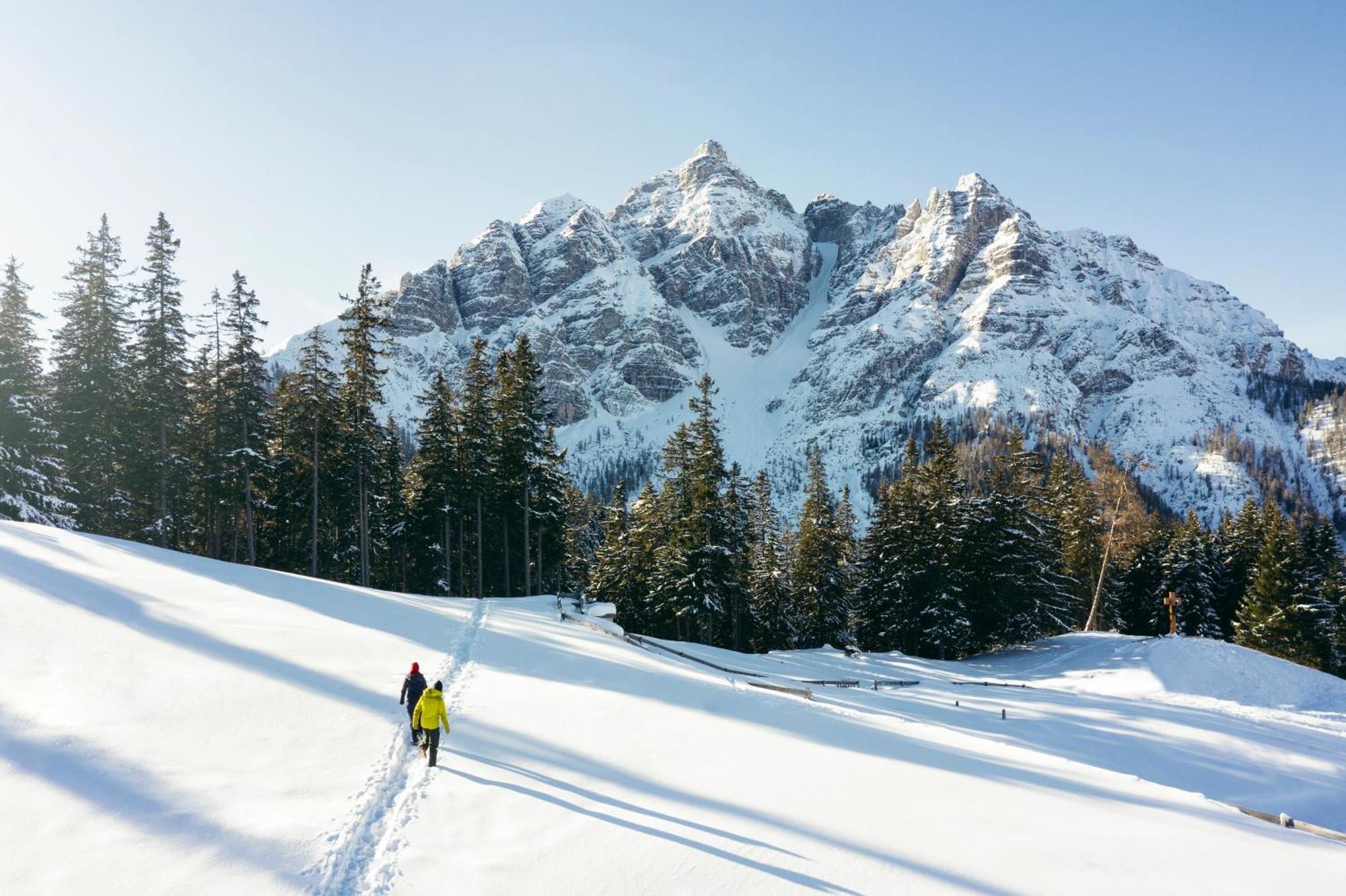 Stoanmandl Wohlfuehlappartements Neustift im Stubaital Exteriör bild
