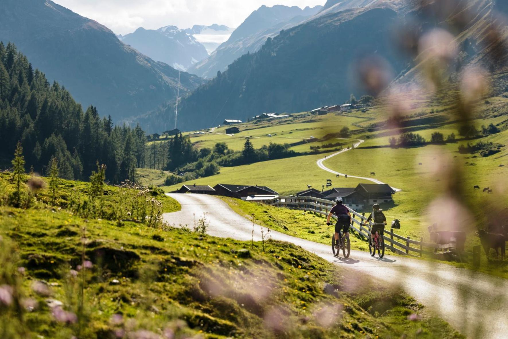 Stoanmandl Wohlfuehlappartements Neustift im Stubaital Exteriör bild