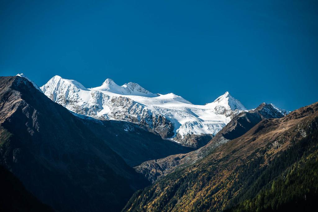 Stoanmandl Wohlfuehlappartements Neustift im Stubaital Exteriör bild